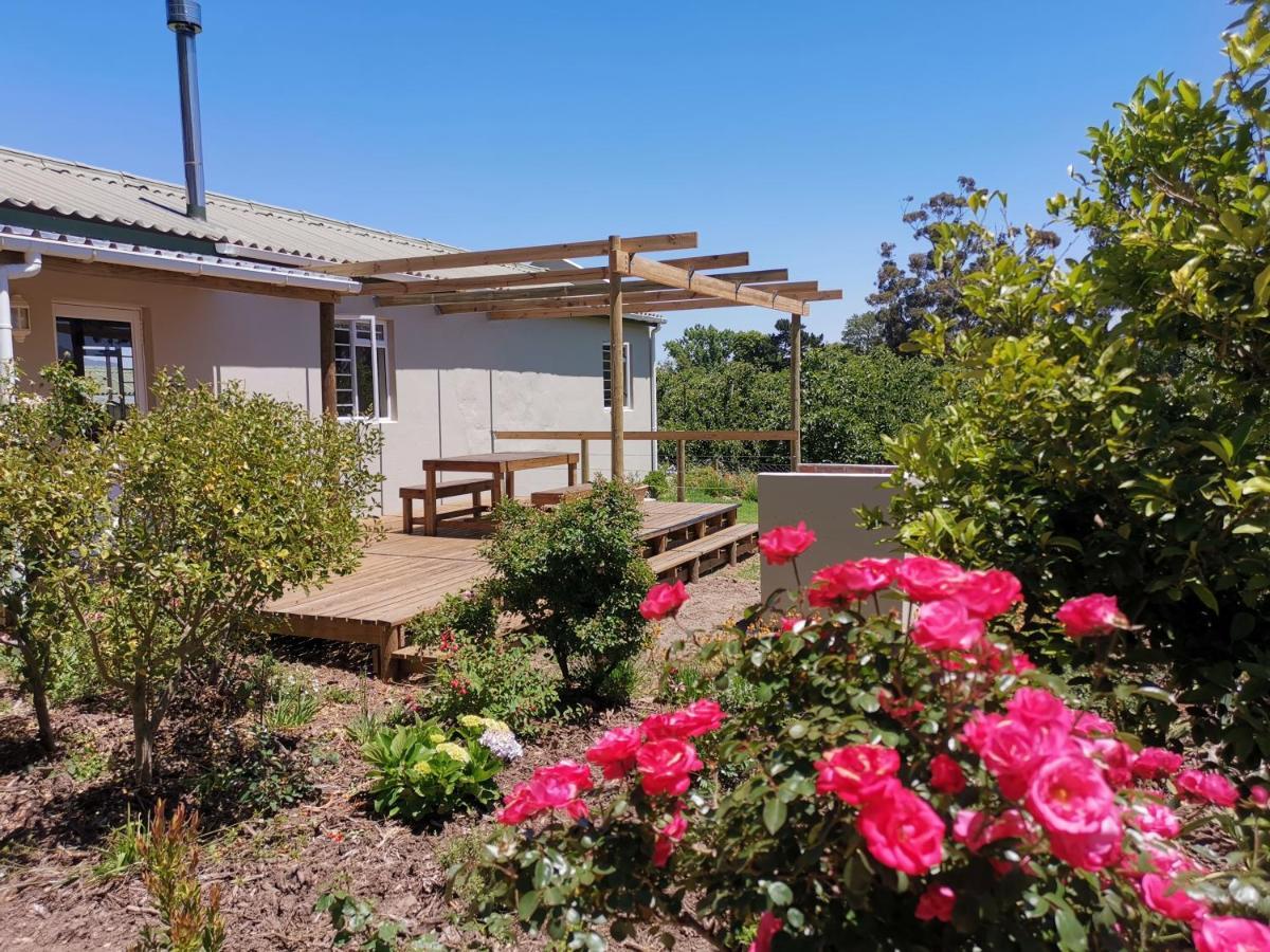 Moortop Cottages 엘진 외부 사진