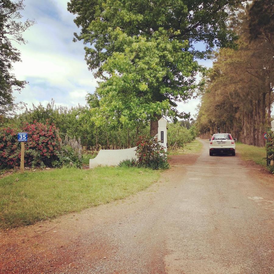 Moortop Cottages 엘진 외부 사진